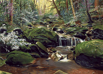 Spring Cascades-The Official 2002 Dogwood Arts Festival Print